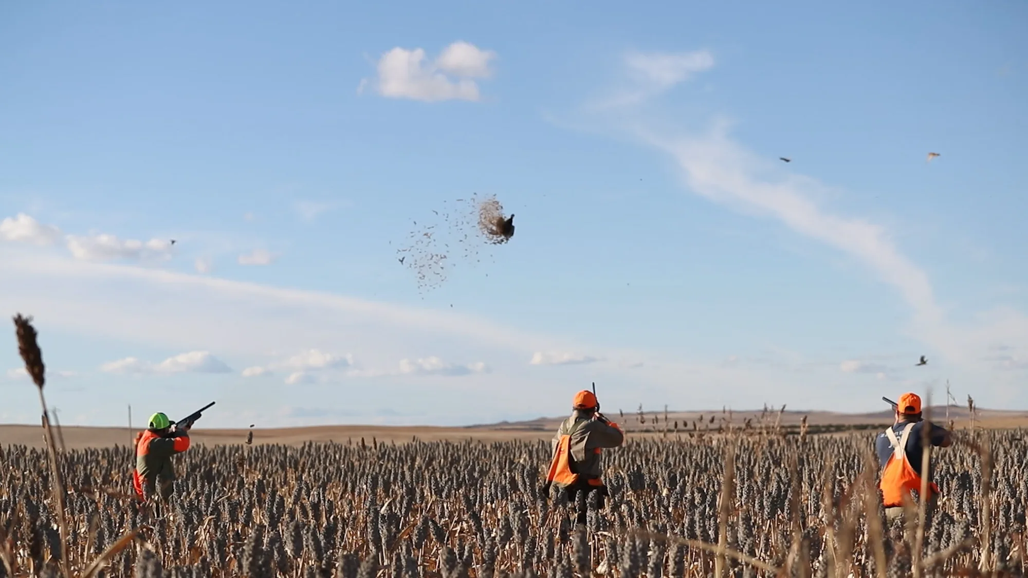 South Dakota Prairie